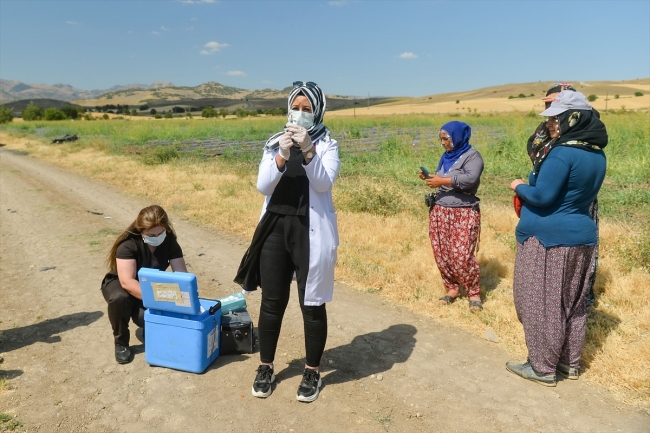 Mevsimlik işçiler aşıya gidemedi, sağlık ekipleri tarlaya indi